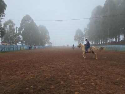 Curso de casqueamento em cavalos Ã© realizado em Nova Laranjeiras